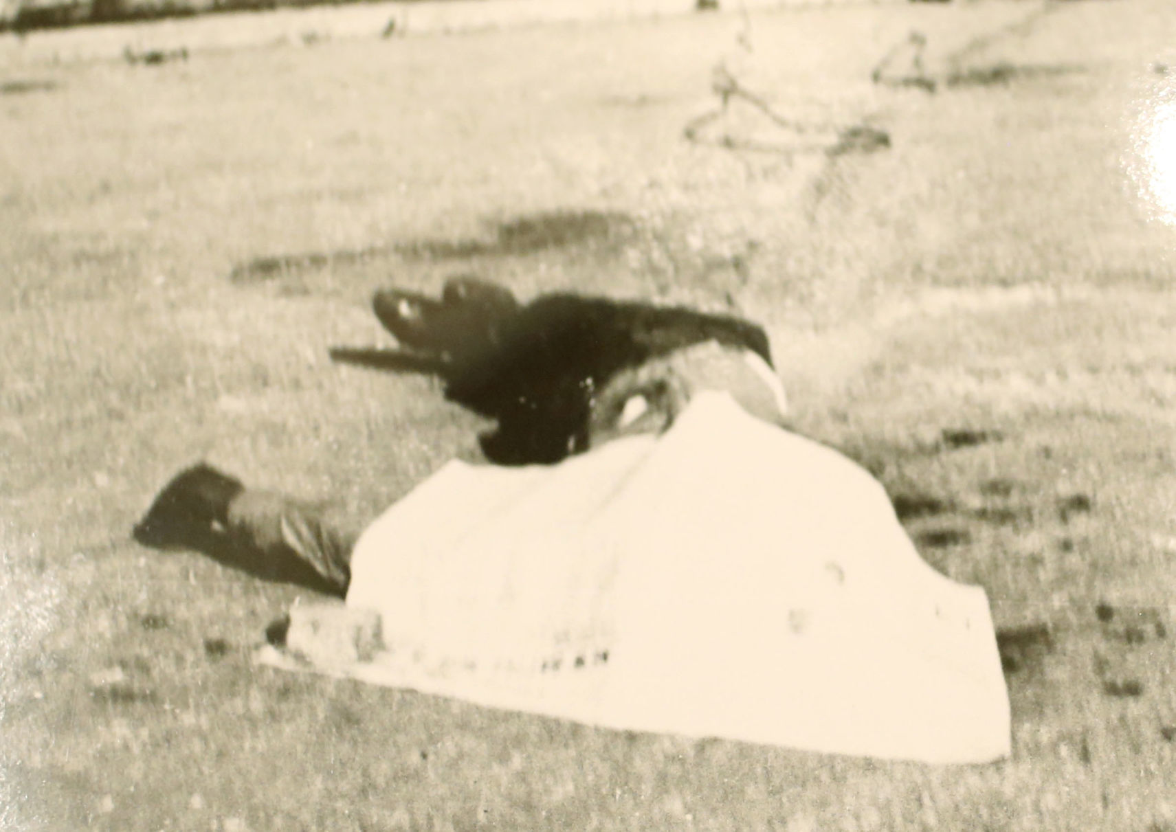 Tulsa Massacre Collection